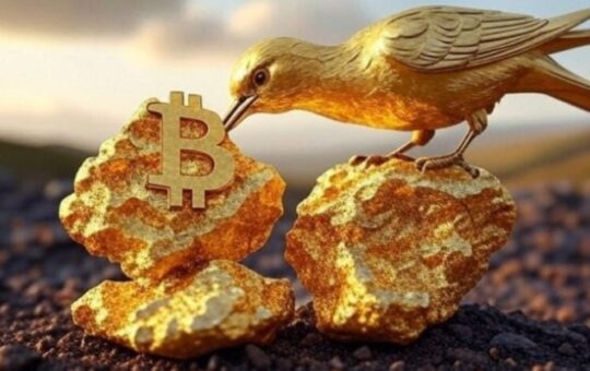 Gold Mineral Blube'S Golden Blube'S Golden Income To Bitcoint Receive, Stock 63% Intrathy Dests