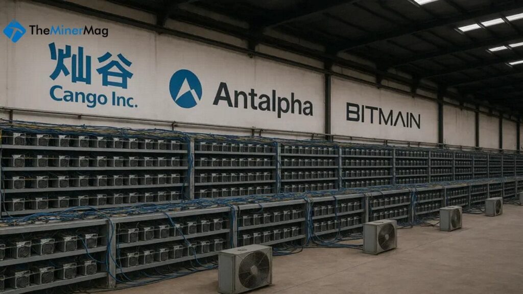 Kango 18 Eh / S Will Grow In Antalana Complain From 50 Cm / S