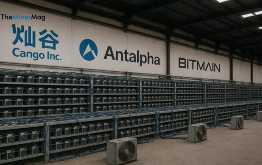 Kango 18 Eh / S Will Grow In Antalana Complain From 50 Cm / S