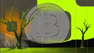 Kenya’s Largest Slum Has Become A Thriving Bitcoin Economy