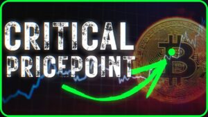 Pay Attention Bitcoin Set For This Critical Level
