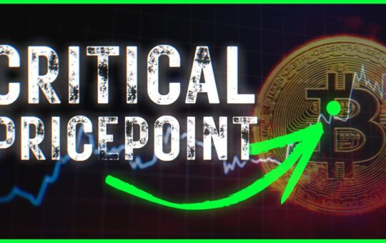 Pay Attention Bitcoin Set For This Critical Level