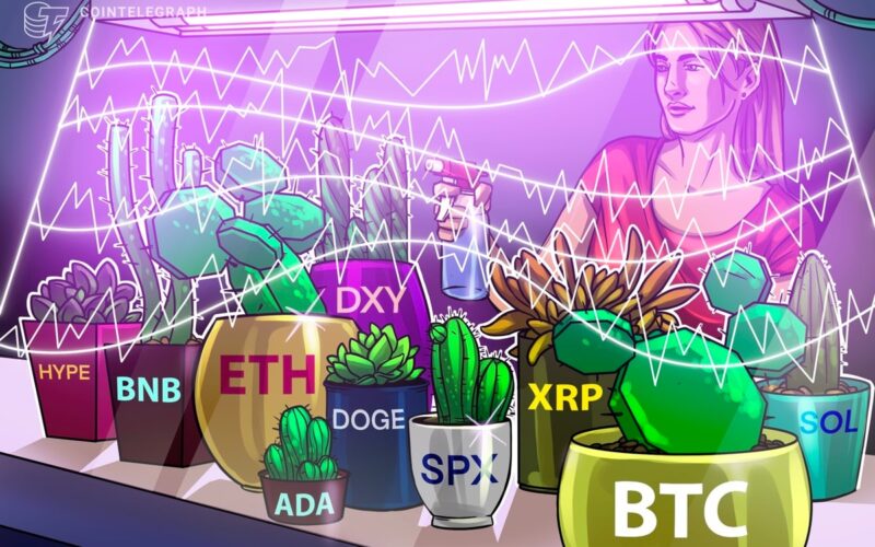 Altcoins Pursue New Elements After Being $ 123,000 After Bitcoin