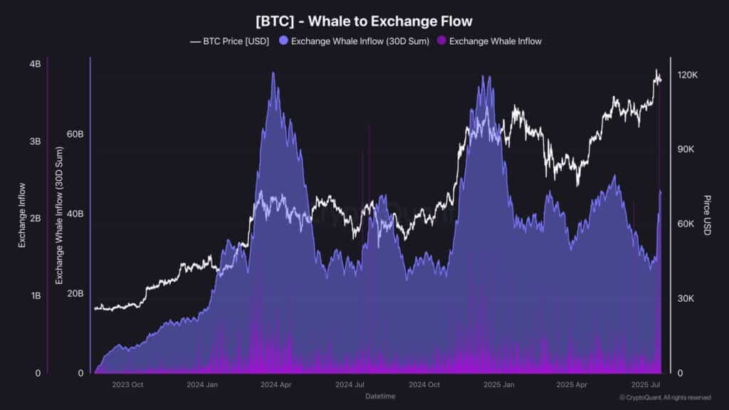 Bitcoin Whale - Source: Cryptoques