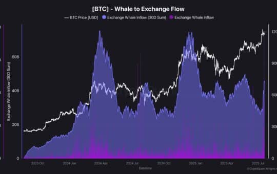 Bitcoin Whale - Source: Cryptoques