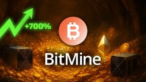 700% Of The 800% Of The Ethermer'S Treasury Strategy Makes The Ethermerum Treasury Strategy?