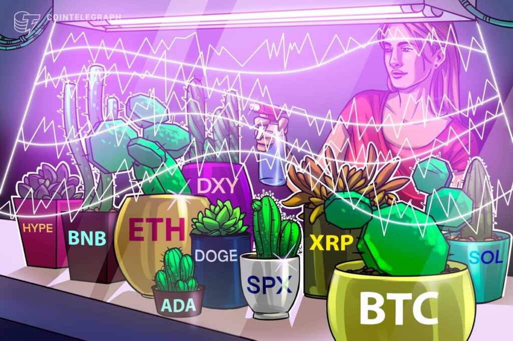 Altcoins Pursue New Elements After Being $ 123,000 After Bitcoin