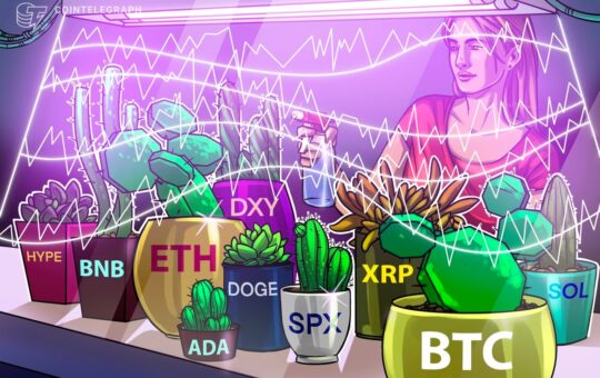 Altcoins Pursue New Elements After Being $ 123,000 After Bitcoin
