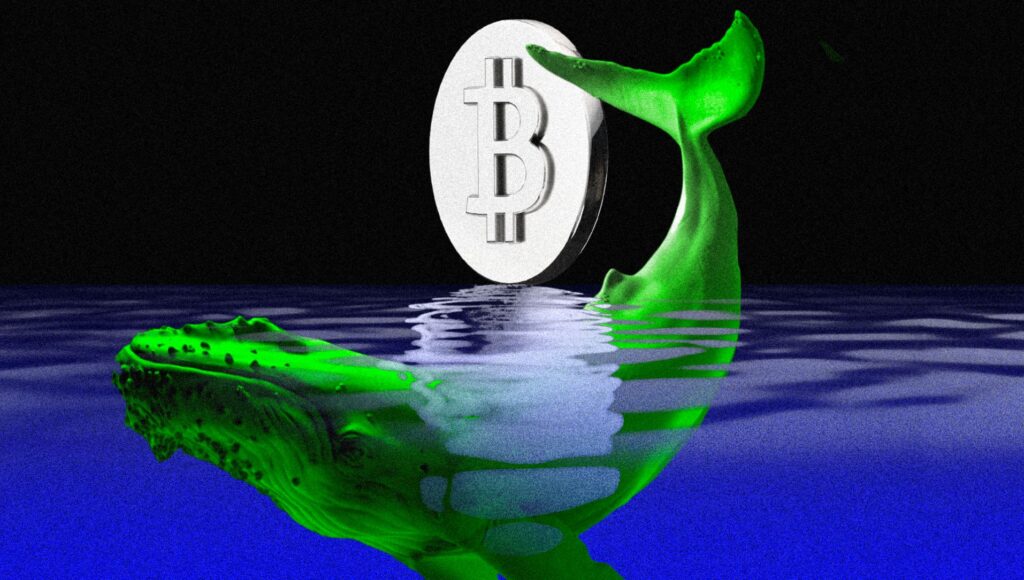 Bitcoin’s Rally Is Heavily Driven By Us Buyers — Is There A Market Risk?