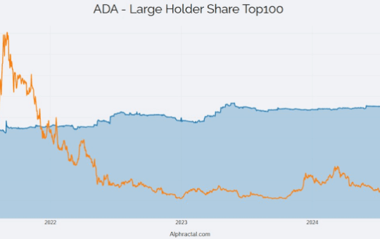Are The Cardino Now The Best Of Crypto, Or Peape And Reatitex Bester Activities?