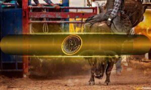 Bitcoin Digital Wealth Money And Turn New Sprak To 11 Weeks