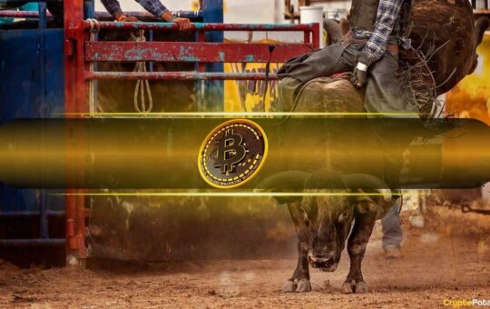 Bitcoin Digital Wealth Money And Turn New Sprak To 11 Weeks