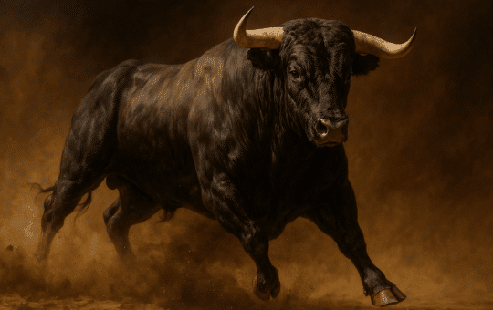 Bitcoin Future Dusty Dusty Dusty Dusty Dusty Changes Marketers As Options
