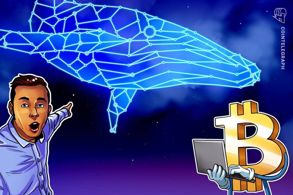 Bitcoin Whale $ 9B Transfer, Jane: Economic Labor Support Effective Economic Support