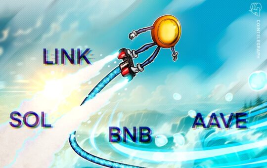 Bnbcoin Experimental Support As Bbb, Sol, Link, I.o.o