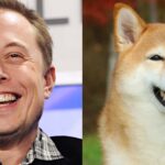 Elon Muscle and Drakco-Bilianium is