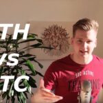 Ethereum vs Ethereum Classic | Programmer explains.