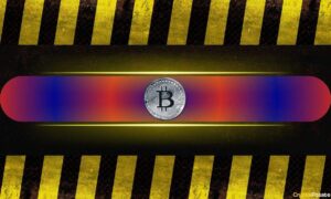 No Uptoin In Bitcoin Markets, However Warning Signs Are Beginning To Appear (Analysis)