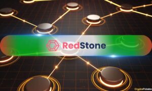 Red Stone Brings A Hole For Batting In Real-Time Liquid And The