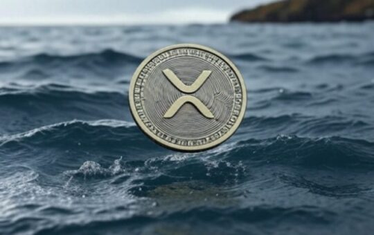 Ripple Co-Masseer Wallet Of Ripple Co-Mas-Mas-Masse Wallet Of The Ripple Co-Masse Wallet