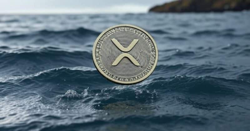 Ripple Co-Masseer Wallet Of Ripple Co-Mas-Mas-Masse Wallet Of The Ripple Co-Masse Wallet