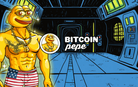 The Best Crypto Of The Btc Bull Of Btc Now To Purchase Now
