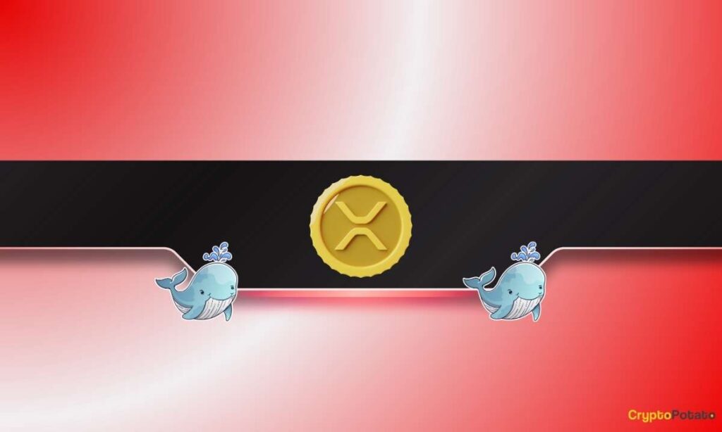 The Key Stock Zone Zone Zone Zone Zone Zone Zone Zone