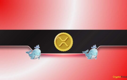 The Key Stock Zone Zone Zone Zone Zone Zone Zone Zone