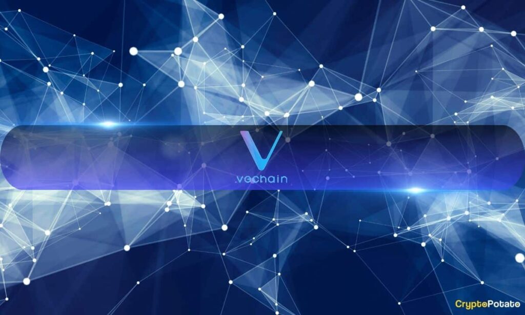 Visinkin Kkososh After Total Playback Trade