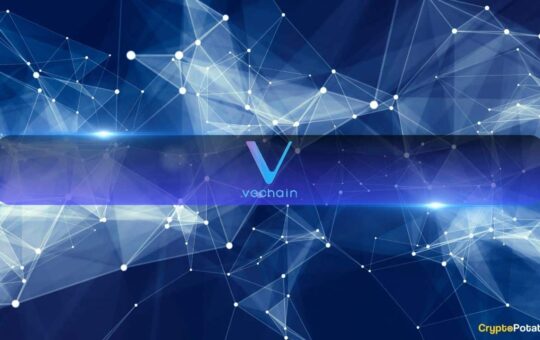 Visinkin Kkososh After Total Playback Trade