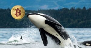 Wallet Connected With Saohyh-Ram Bitcoin Witcoin Wide 9,000 Bacc