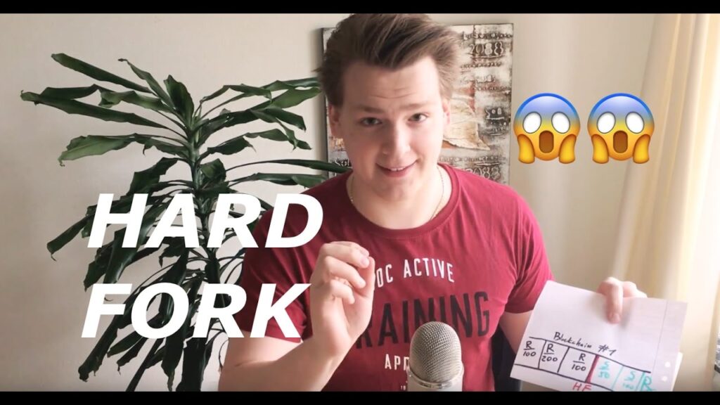 What Happens To Your Coins In A Hardfork Programmer Explains
