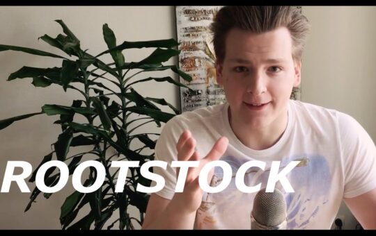 What Is Bitcoin Rootstock And Why Should You Care Programmer