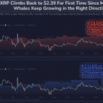 XRP Price Prediction: After 25.8% of weekly profit