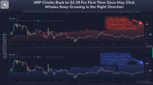 Xrp Price Prediction: Its Ascent To #3 After 25.8% Weekly Gain - Will Momentum Hold?