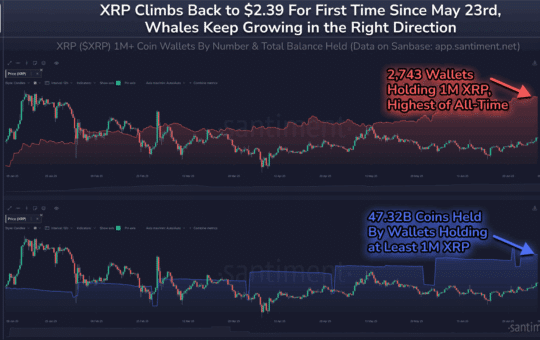 Xrp Price Prediction: Its Ascent To #3 After 25.8% Weekly Gain - Will Momentum Hold?