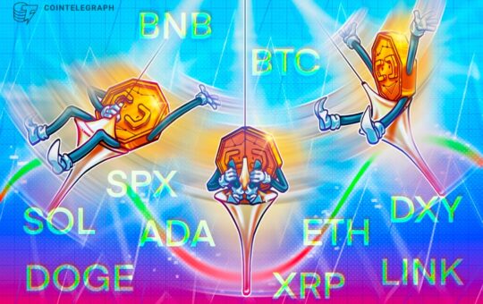 Bitcoin Puppies Must Contain $ 110K Or Actspane