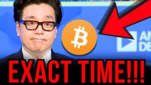 Bitcoin Banana Zone Imminent Tom Lee Revealing His Timings