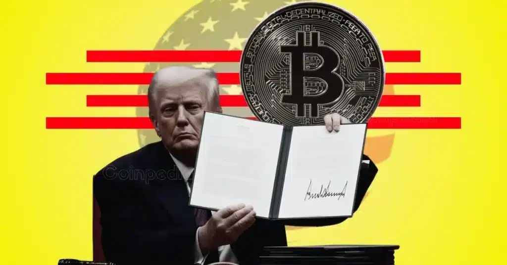 Ballin Binchor Says A Standardive Functionality In 2025 1 Coinpedia - Fintech &Amp; Cryptocurreny News Media