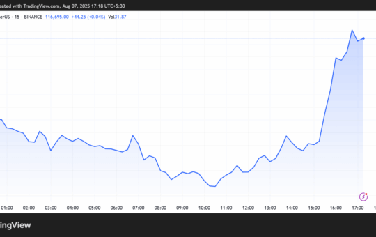 Bitcoin Price Performance