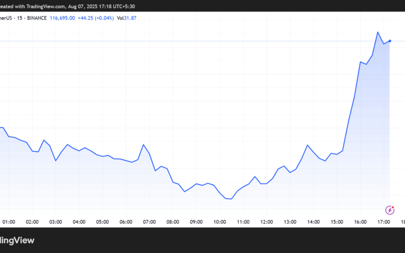 Bitcoin Price Performance