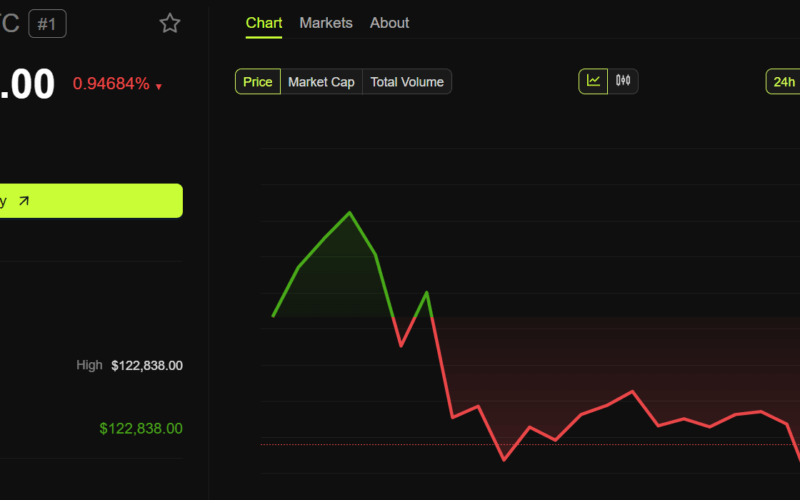 Bitcoin Price Performance