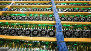 Bitcoin Manne Canness Posts $ 257M Profit $ 185M