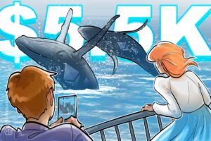 Bitcoin Wales Rule With Hipd