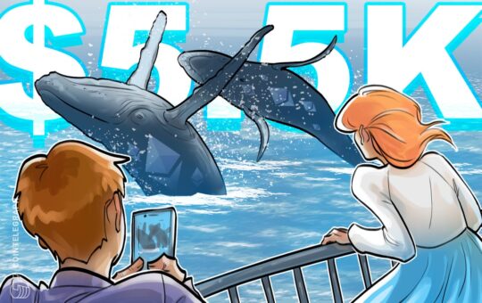 Bitcoin Wales Rule With Hipd