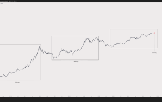 Bitcoin'S Ground The Ender? Analysts As Much As Possible