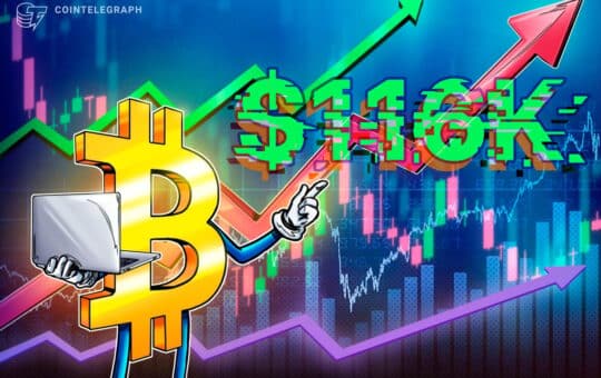 Bitcon Tamgas Tamgas Pants $ 200 Kg