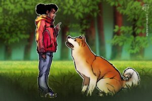 Dogcoin Price Cost Price Cost Of A $ 0.12 Dogge