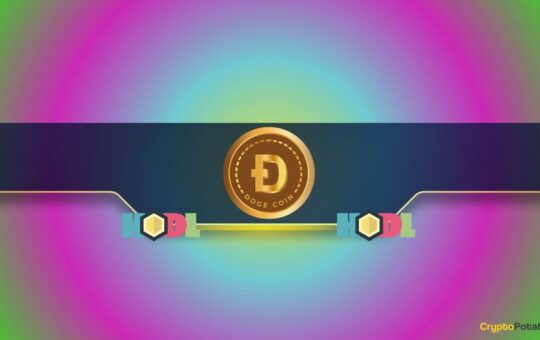 Dogcoin (Dogage) Potential Trends As Signs Of Rsi Symptoms