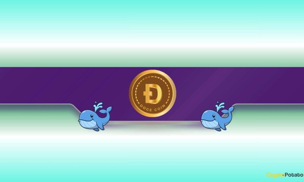 Dogcoin (Dogor) Defaults Are Crazy: More Price Shipping Income?